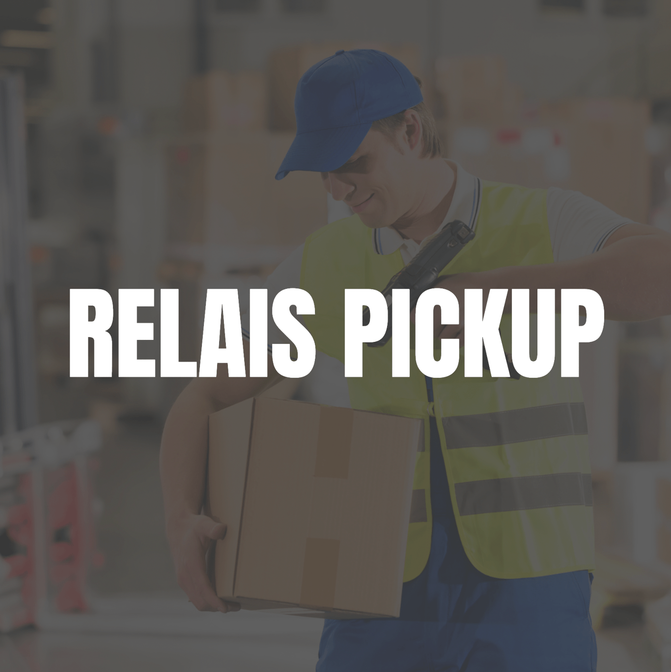 RELAIS PICKUP